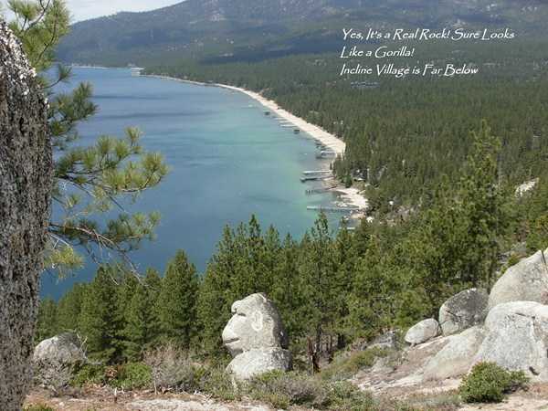 Amenity: Monkey rock