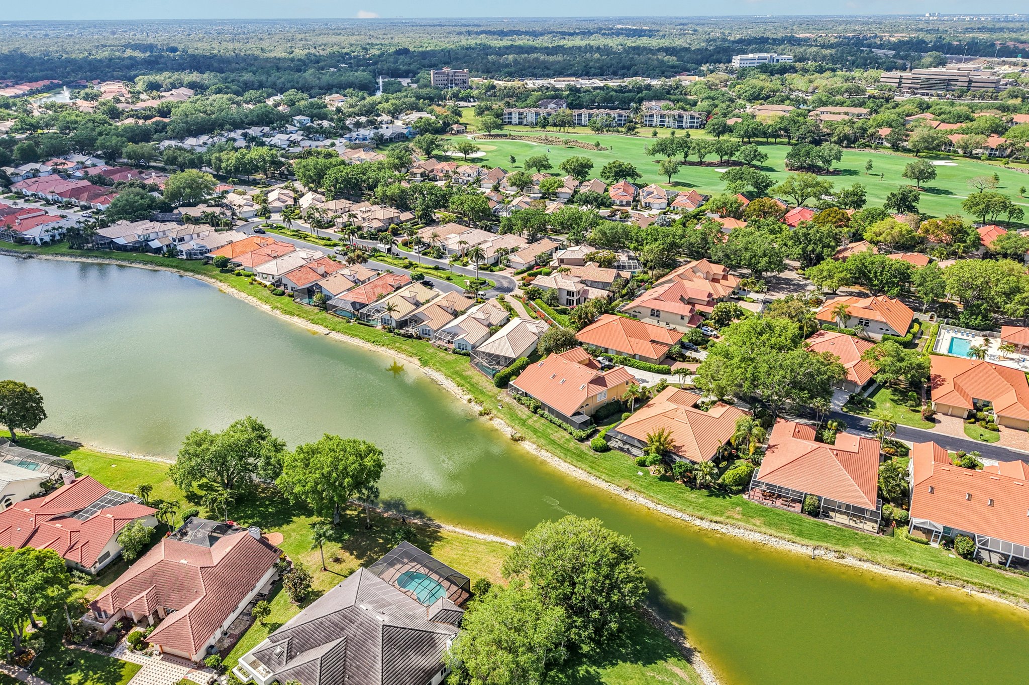 Vista Ln-S2803-051.jpg