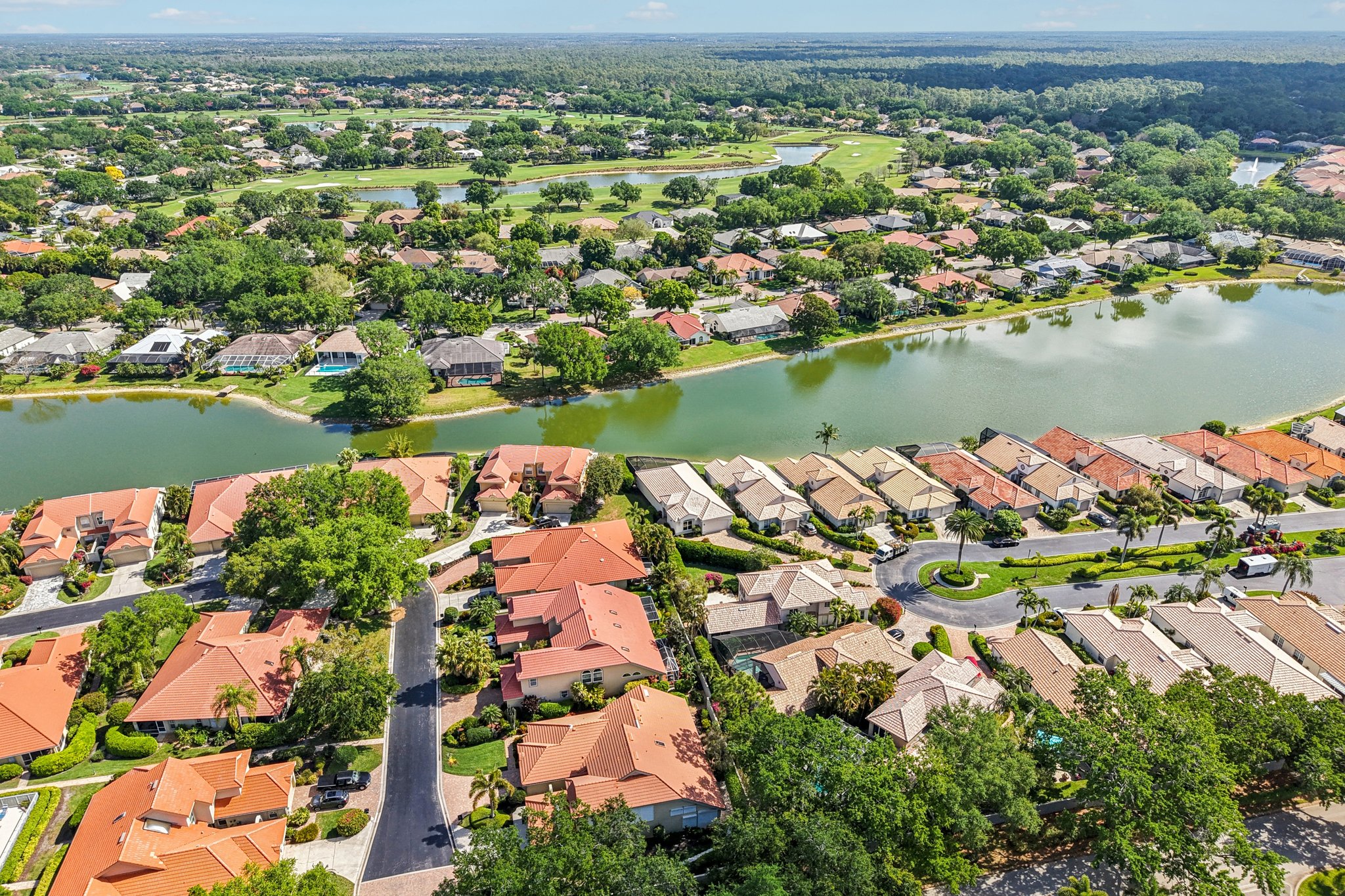 Vista Ln-S2803-055.jpg