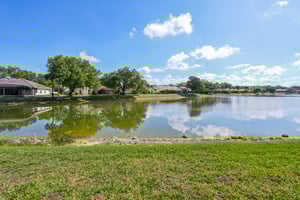 Vista Ln-S2803-041.jpg