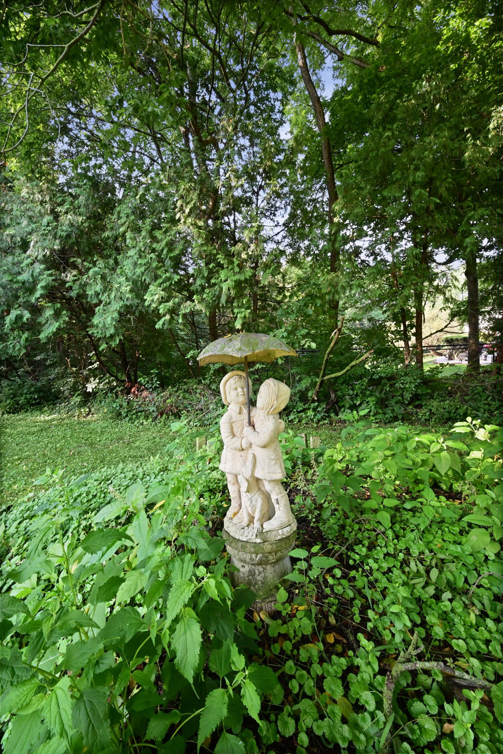  Photo 21
