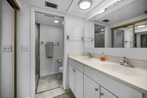 Master Bathroom1a