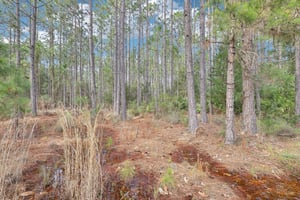 Bridgewood Dr-062.jpg