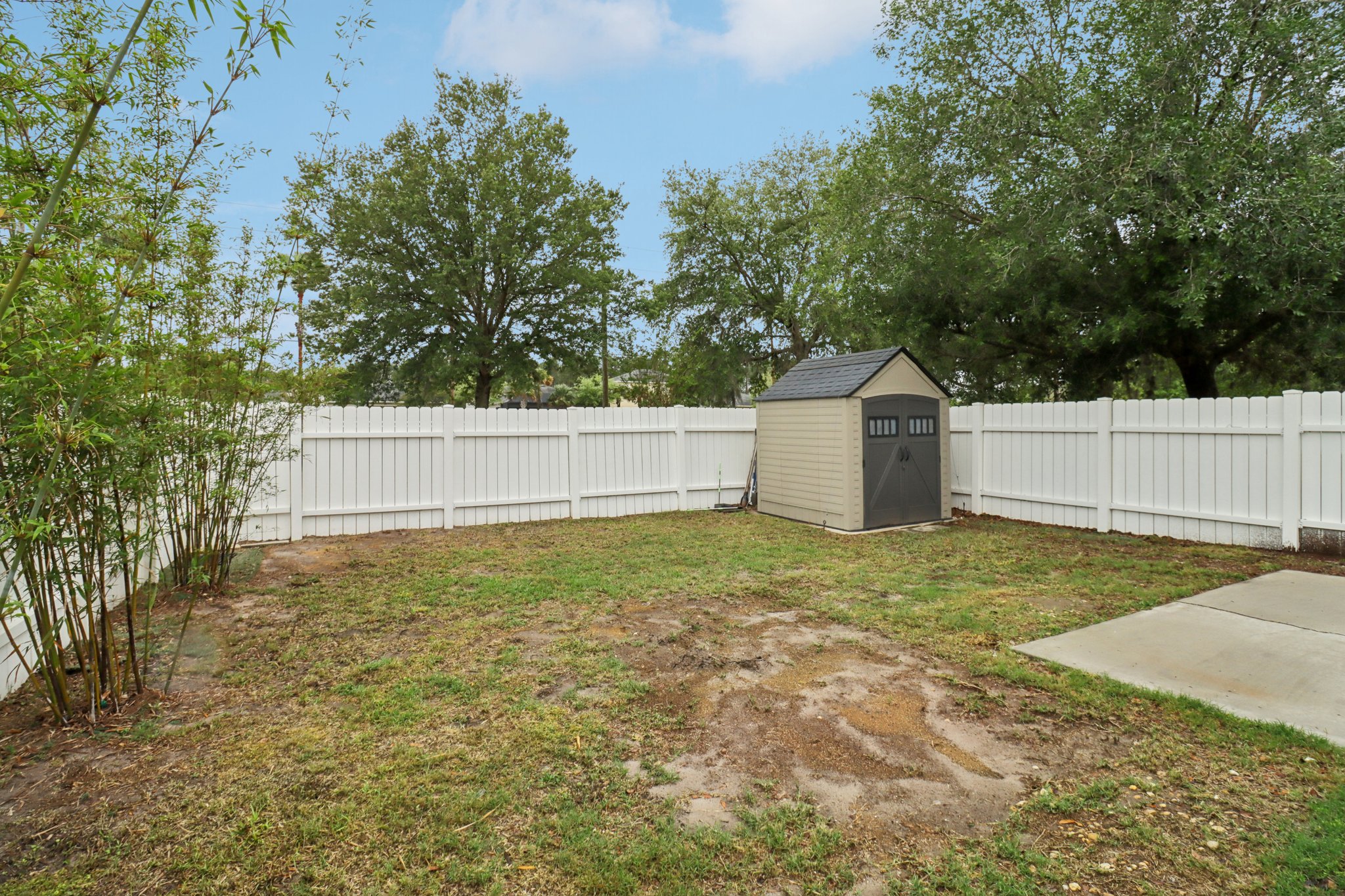 Yellowfin Dr-S0804-026.jpg