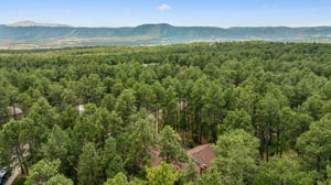 DJI_20250722144340_0056_D.jpg