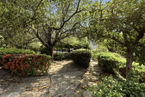  Photo 51
