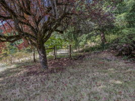  Photo 0