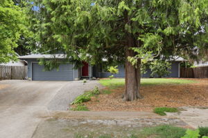  Photo 49