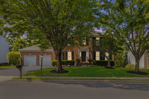  Photo 0