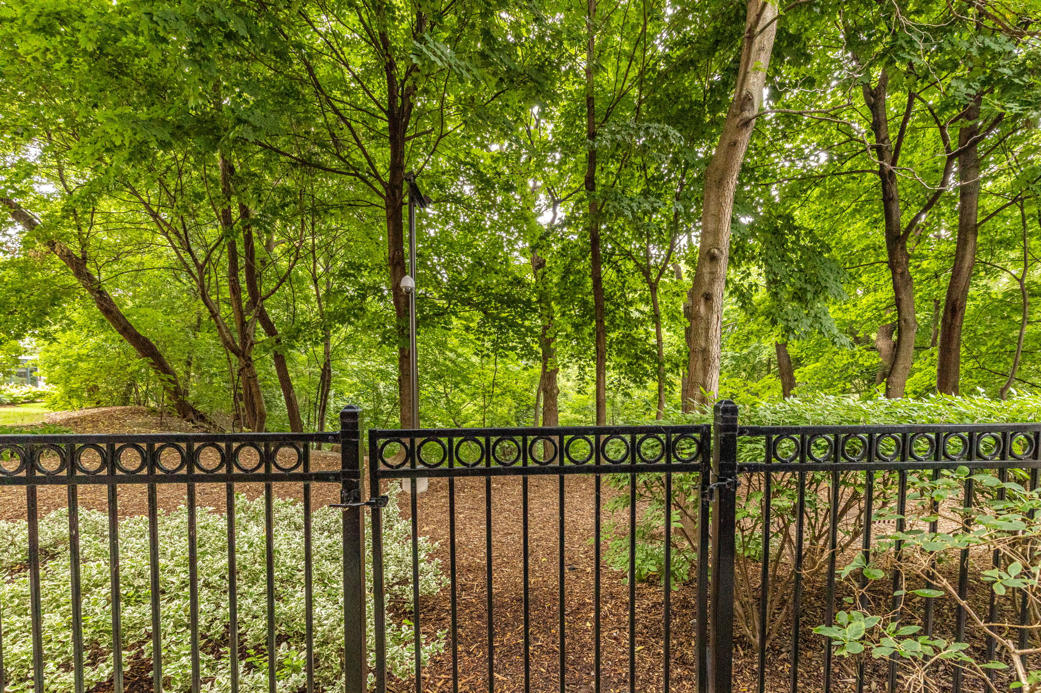 Toronto property showcase — delivered property photograph 44