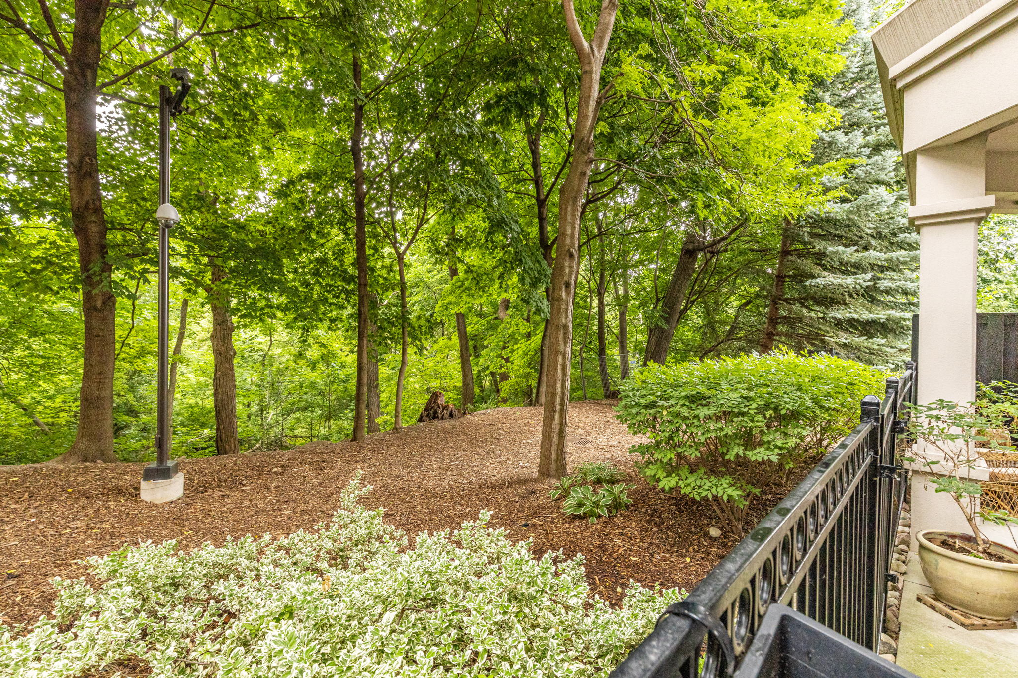 Toronto property showcase — delivered property photograph 43