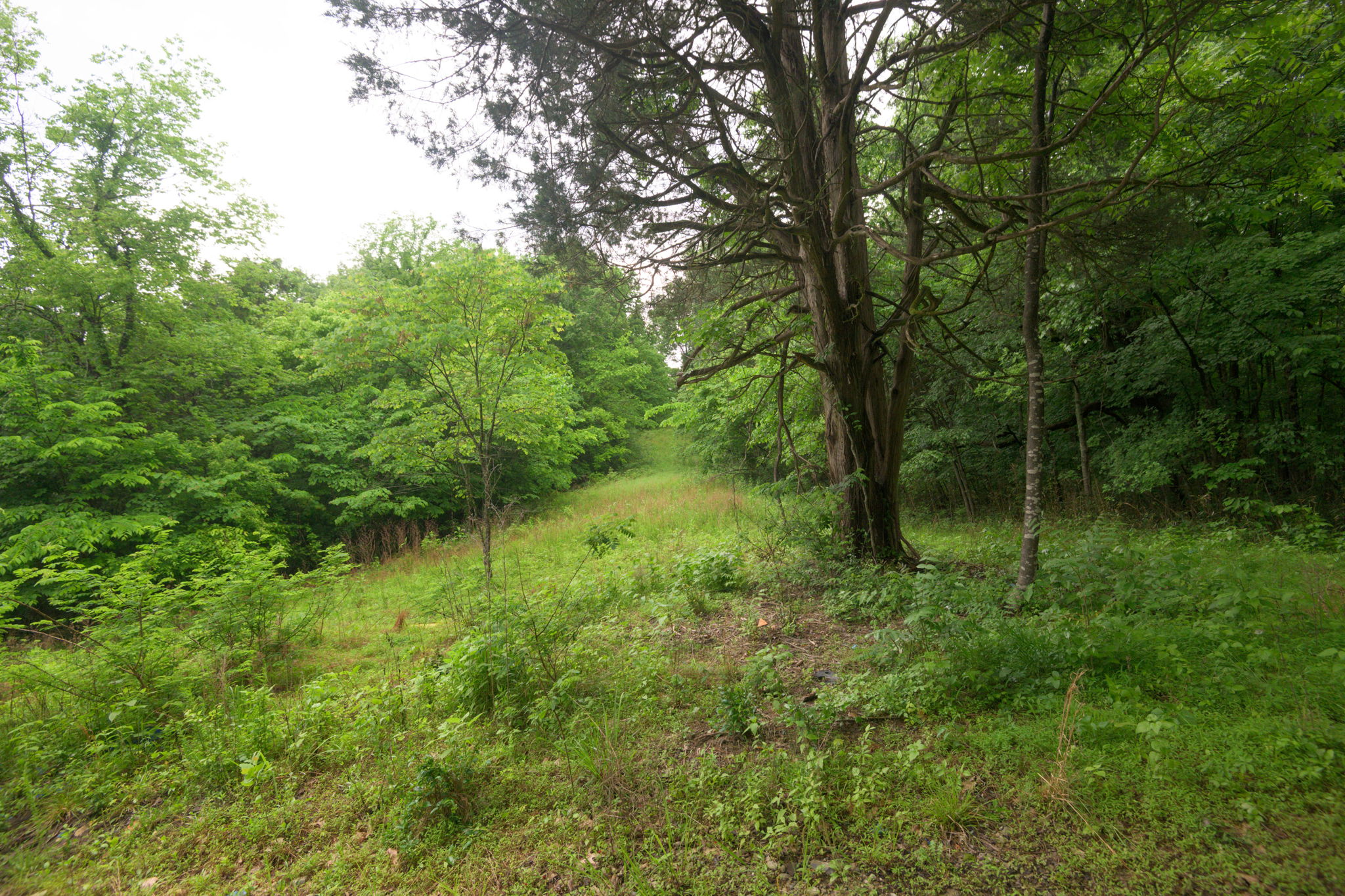  Photo 30