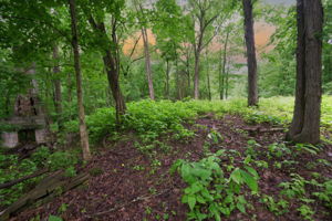  Photo 31