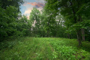  Photo 32