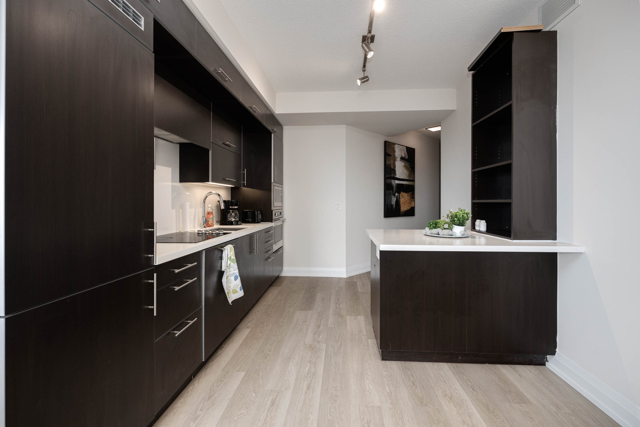 Toronto property showcase — delivered property photograph 4