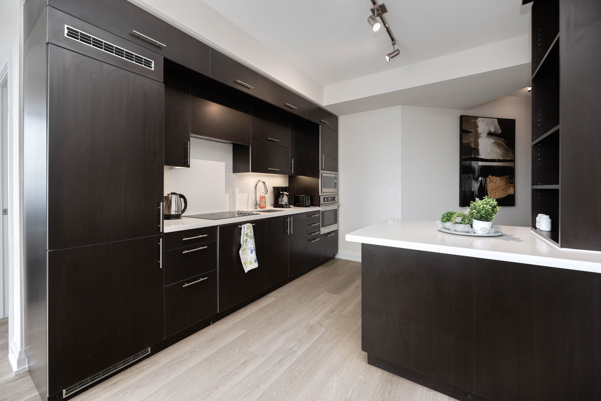 Toronto property showcase — delivered property photograph 3