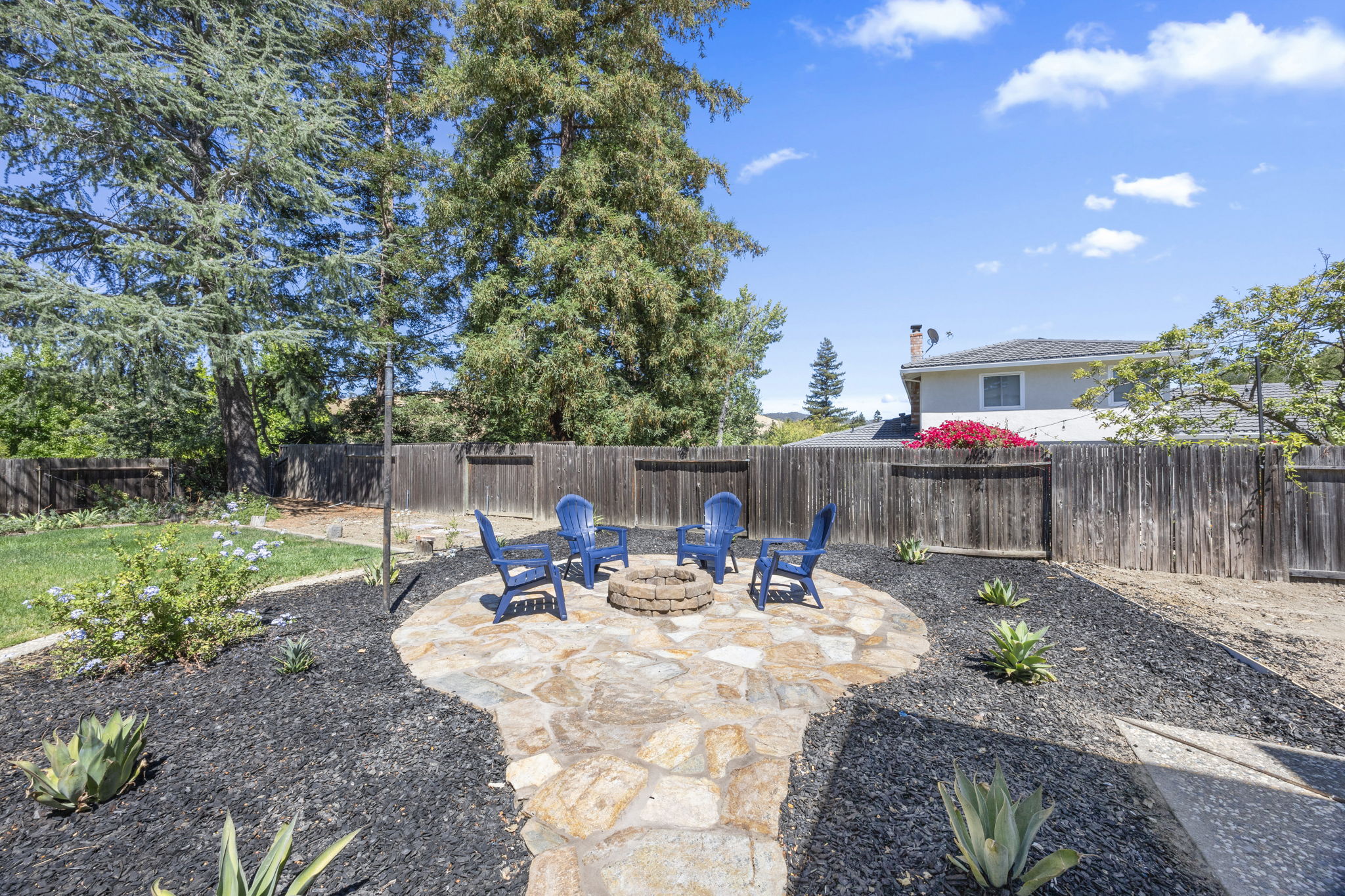  Photo 43