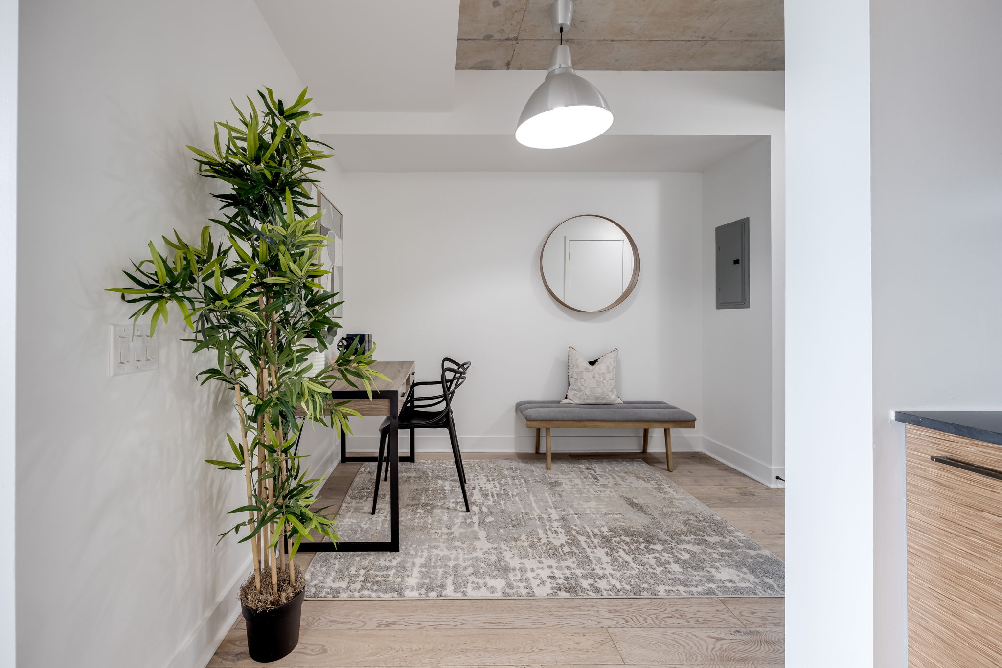 Toronto property showcase — delivered property photograph 11