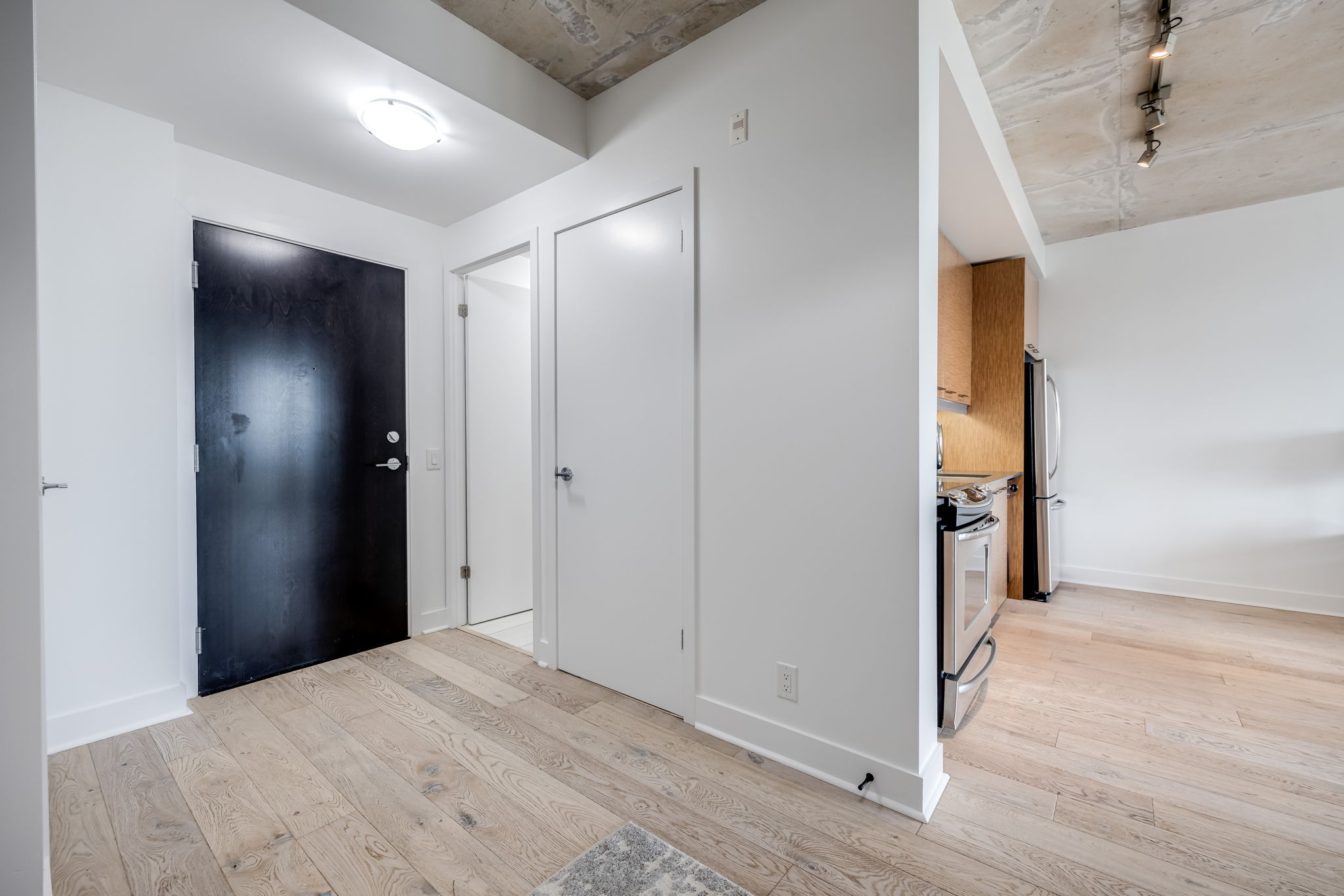Toronto property showcase — delivered property photograph 13