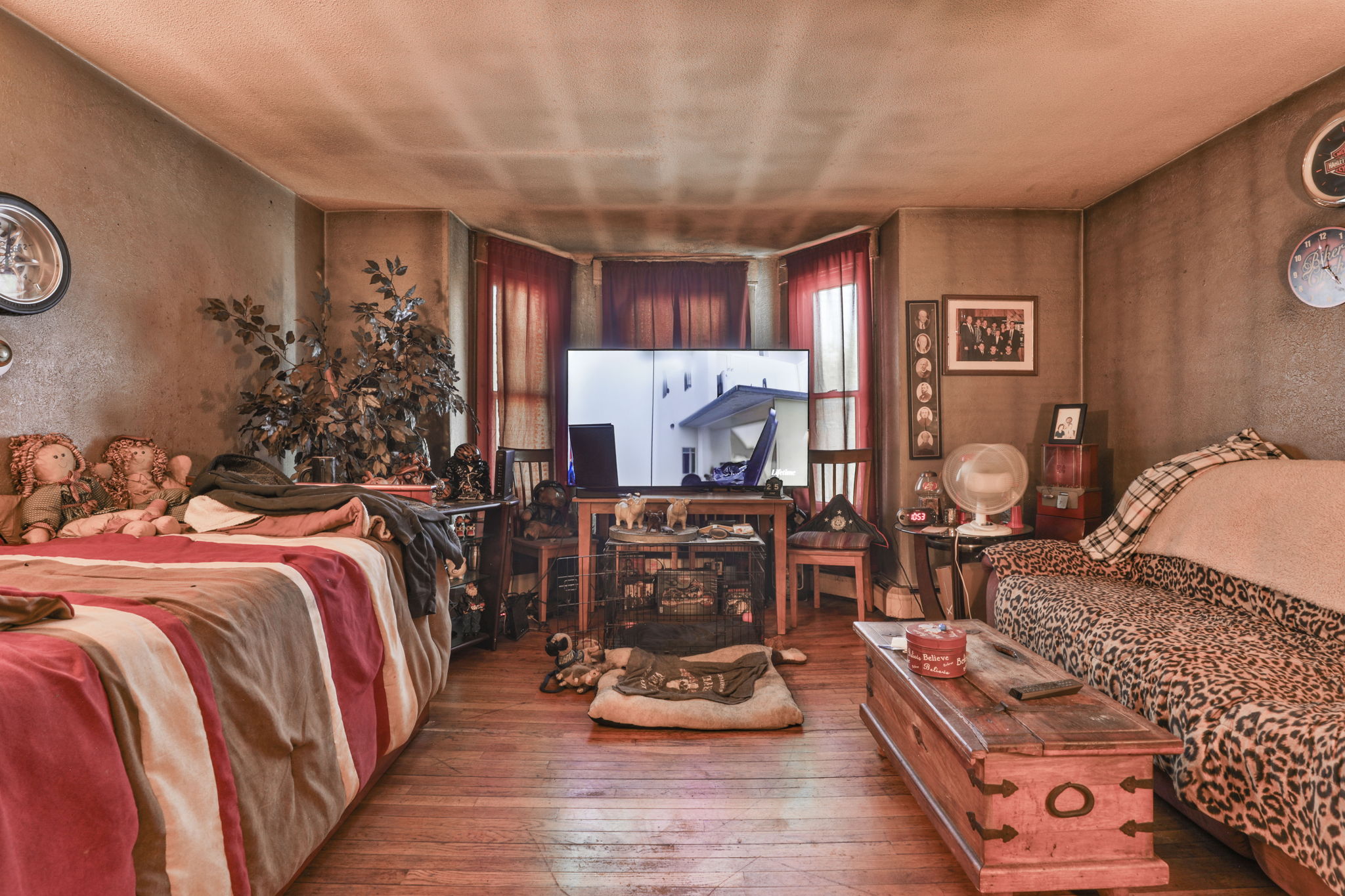  Photo 14