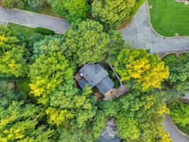  Photo 59