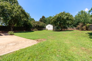  Photo 41