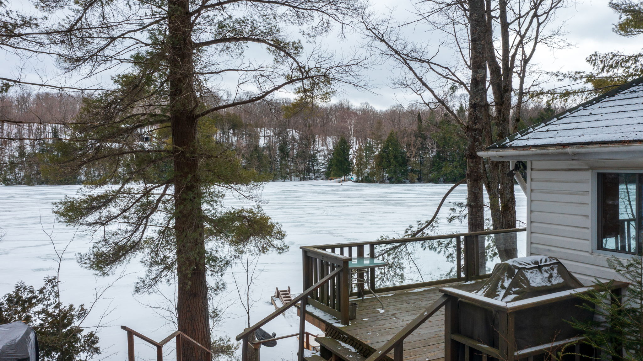  Photo 36