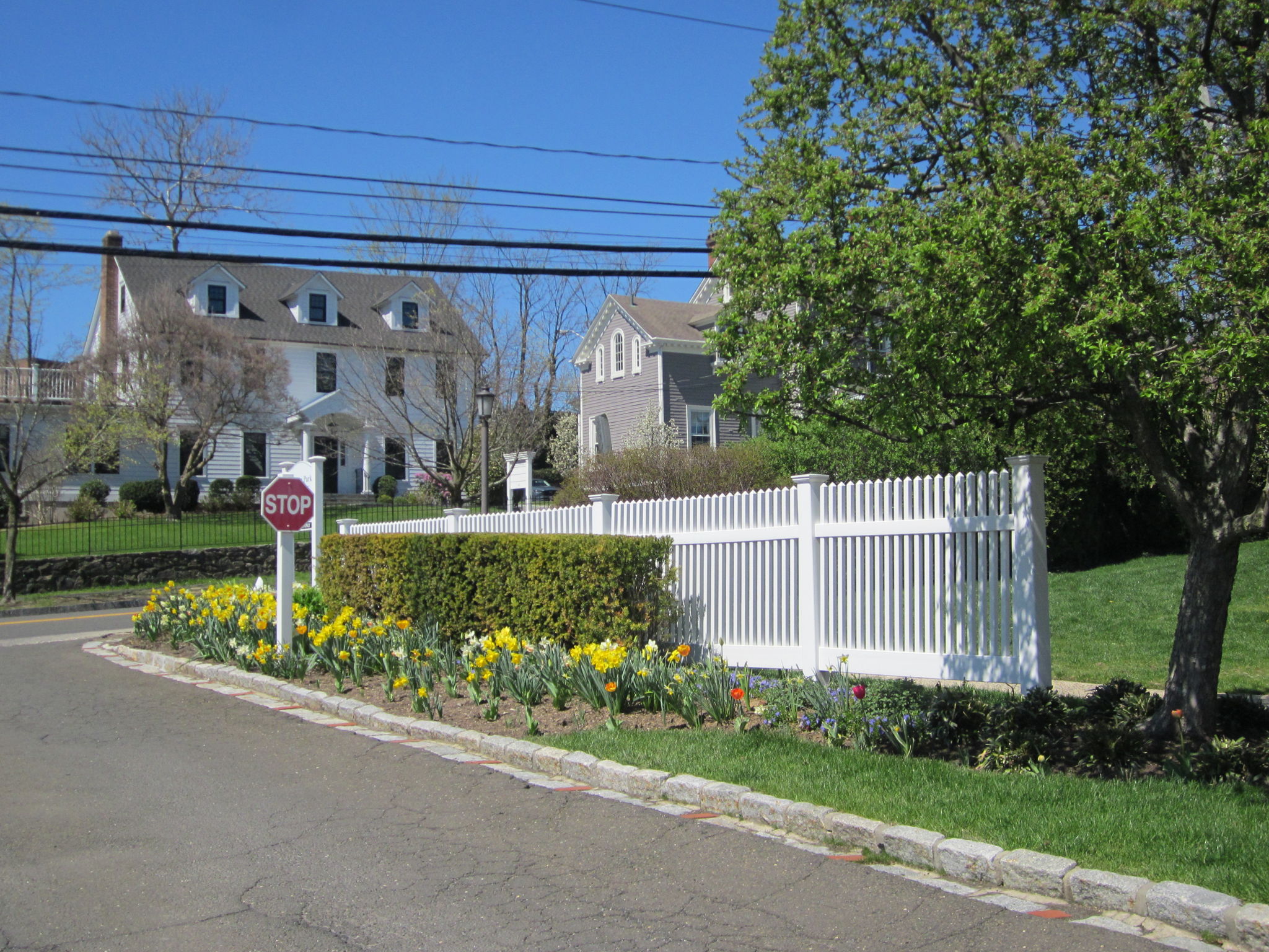 Putnam Park entry drive opposite two elegant period Colonials