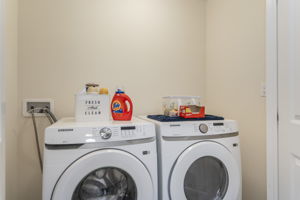  Photo 50