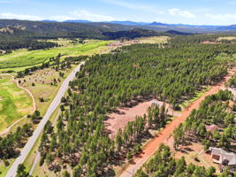 DJI_0645