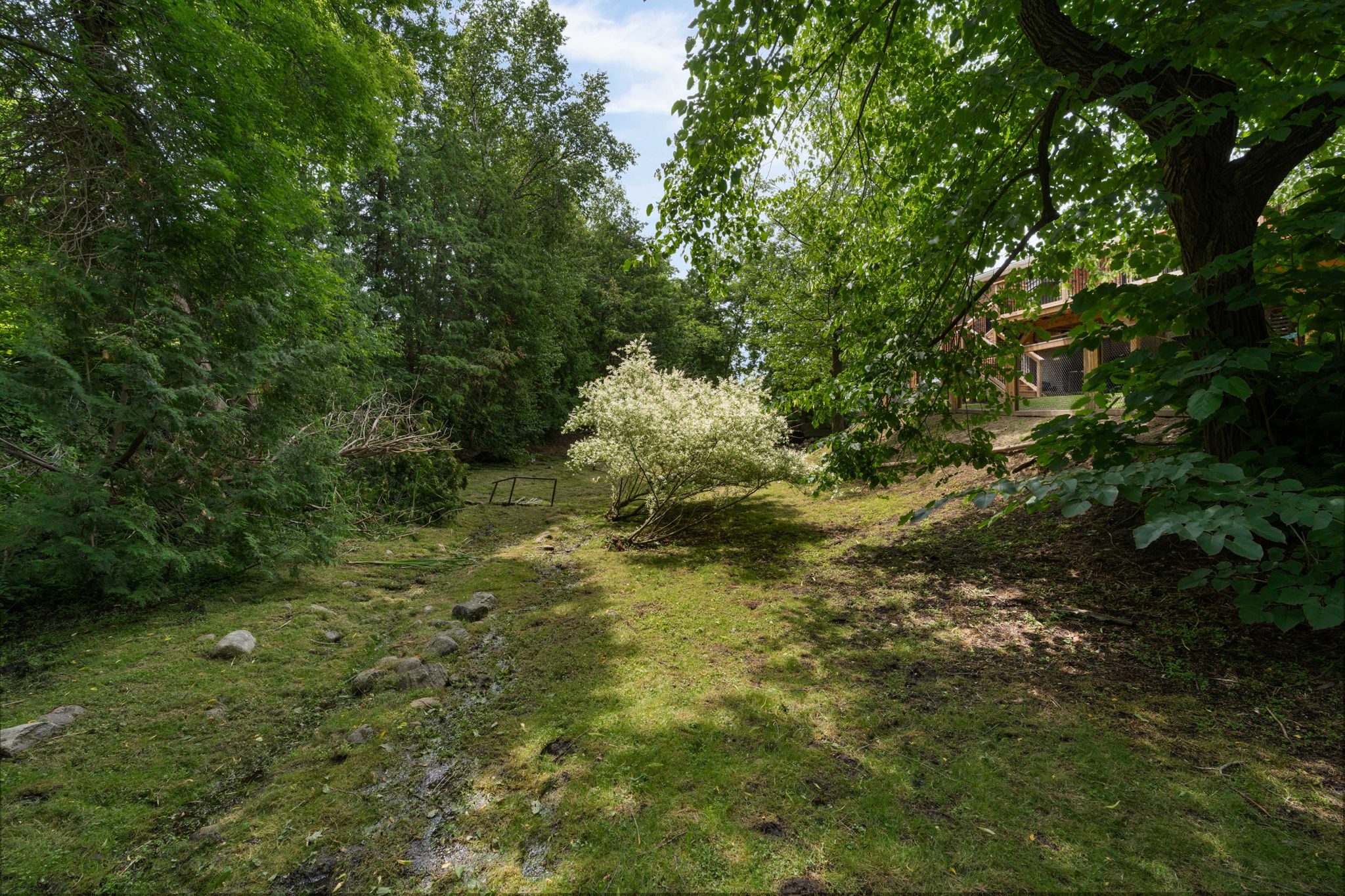  Photo 46