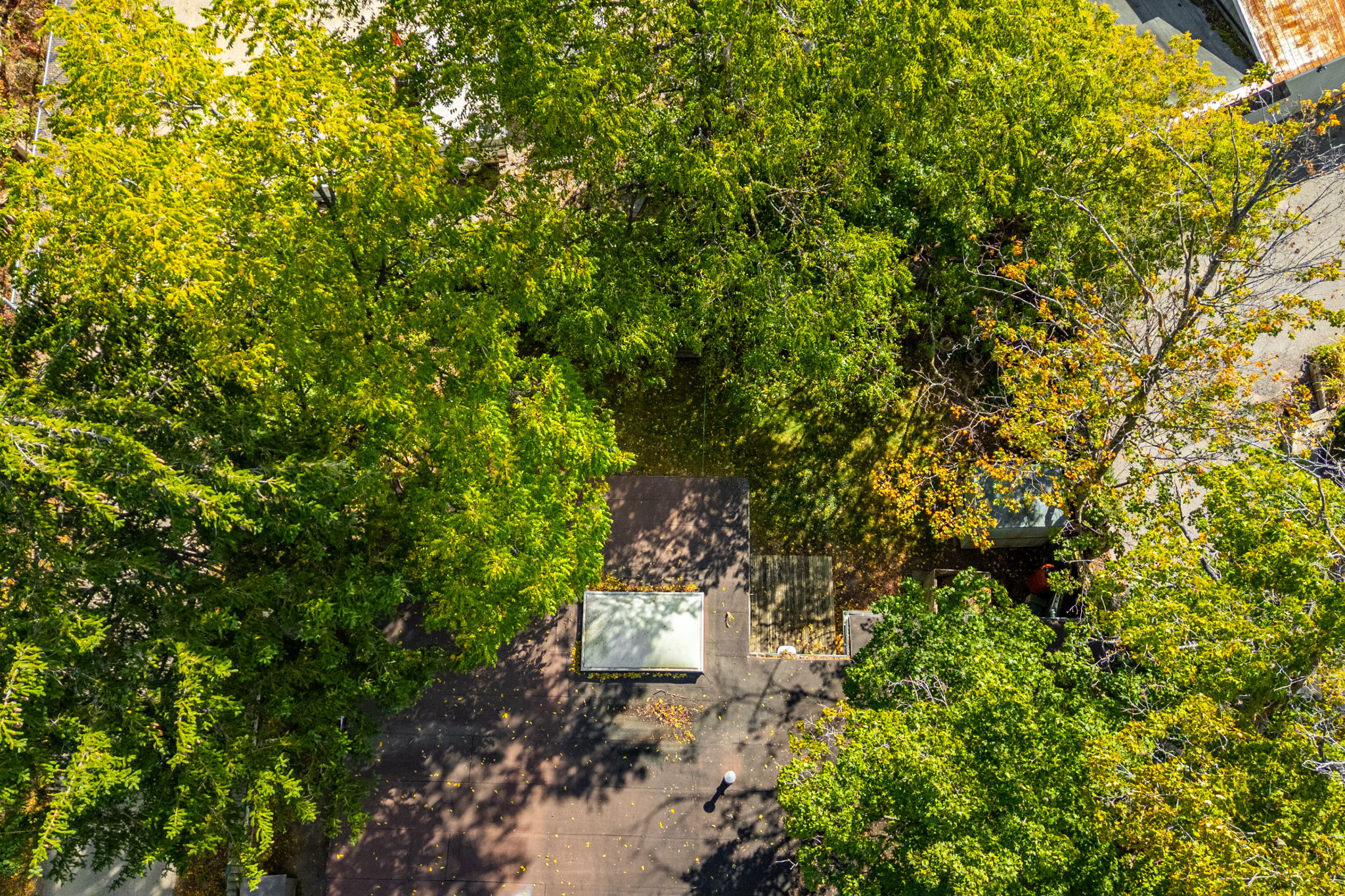 Aerial