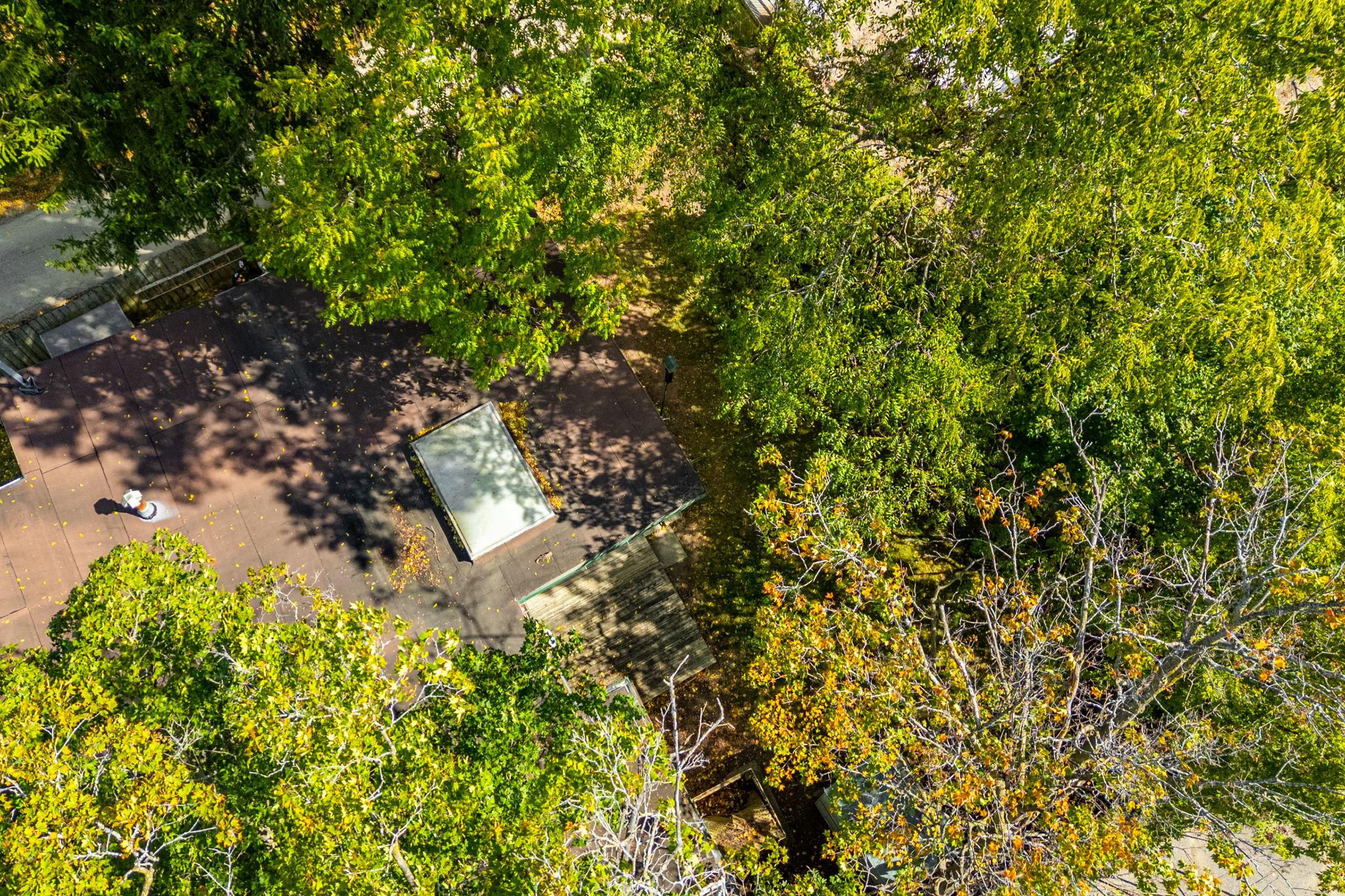Aerial