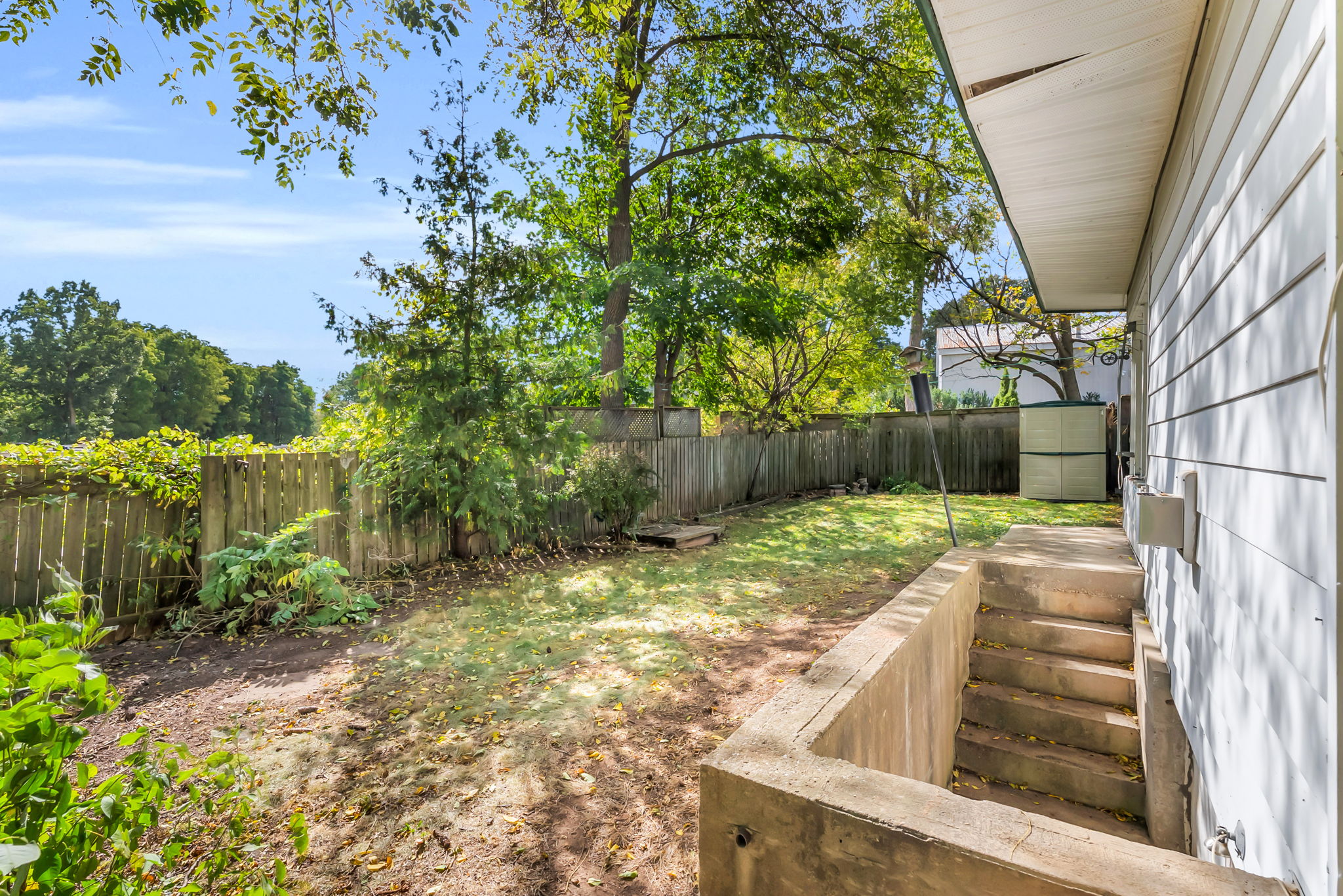 Backyard