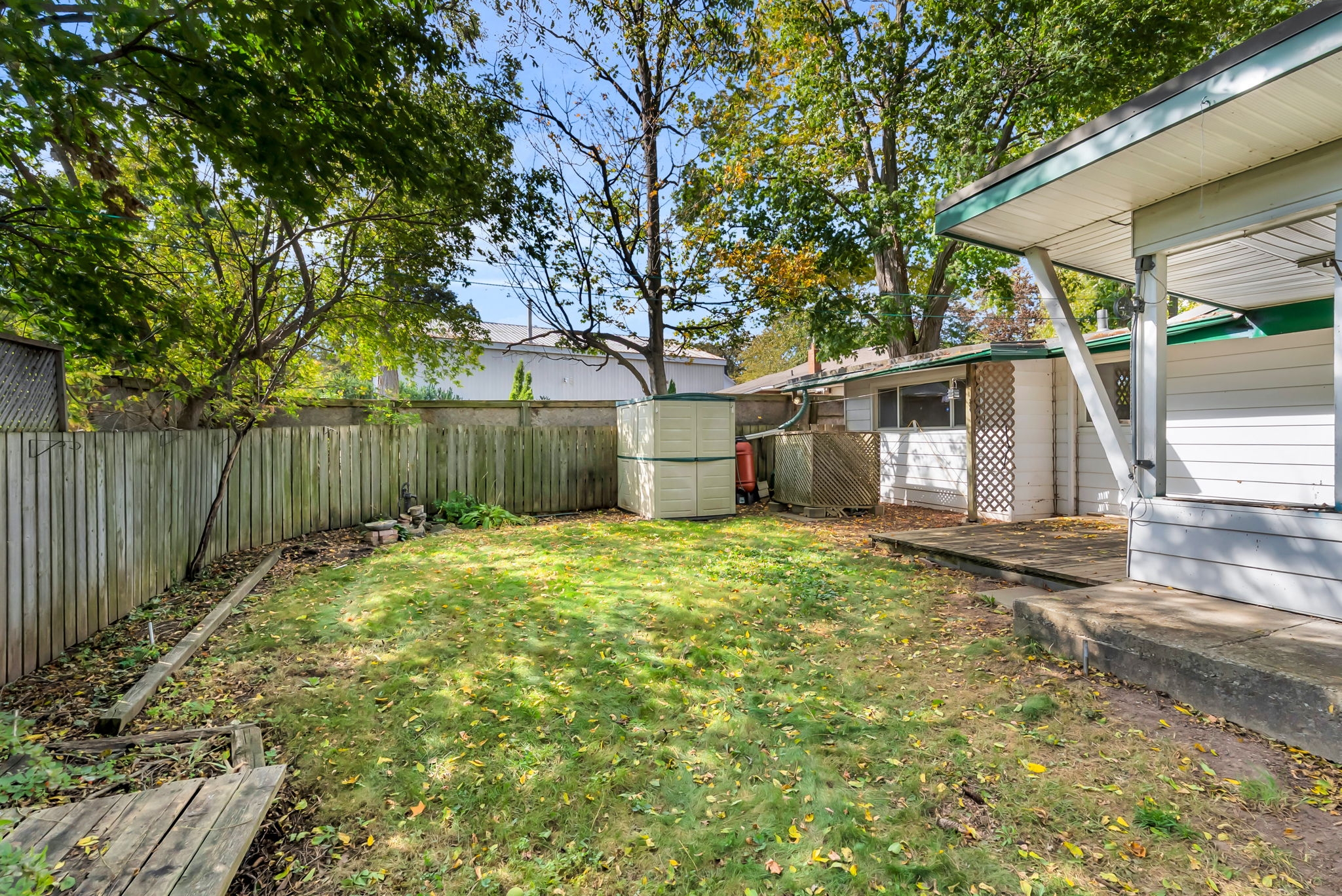 Backyard