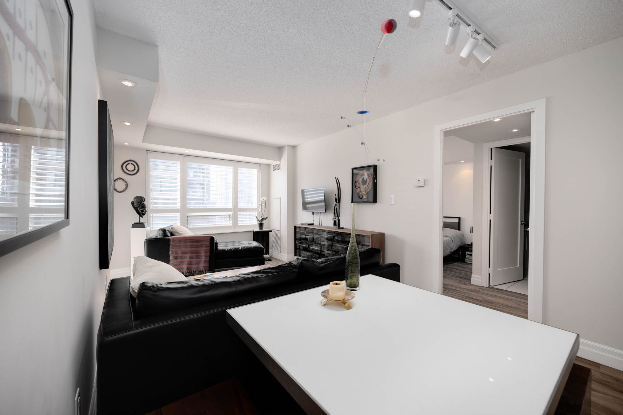 Toronto property showcase — delivered property photograph 6
