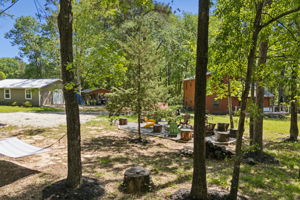  Photo 41