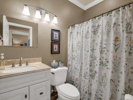  Photo 7