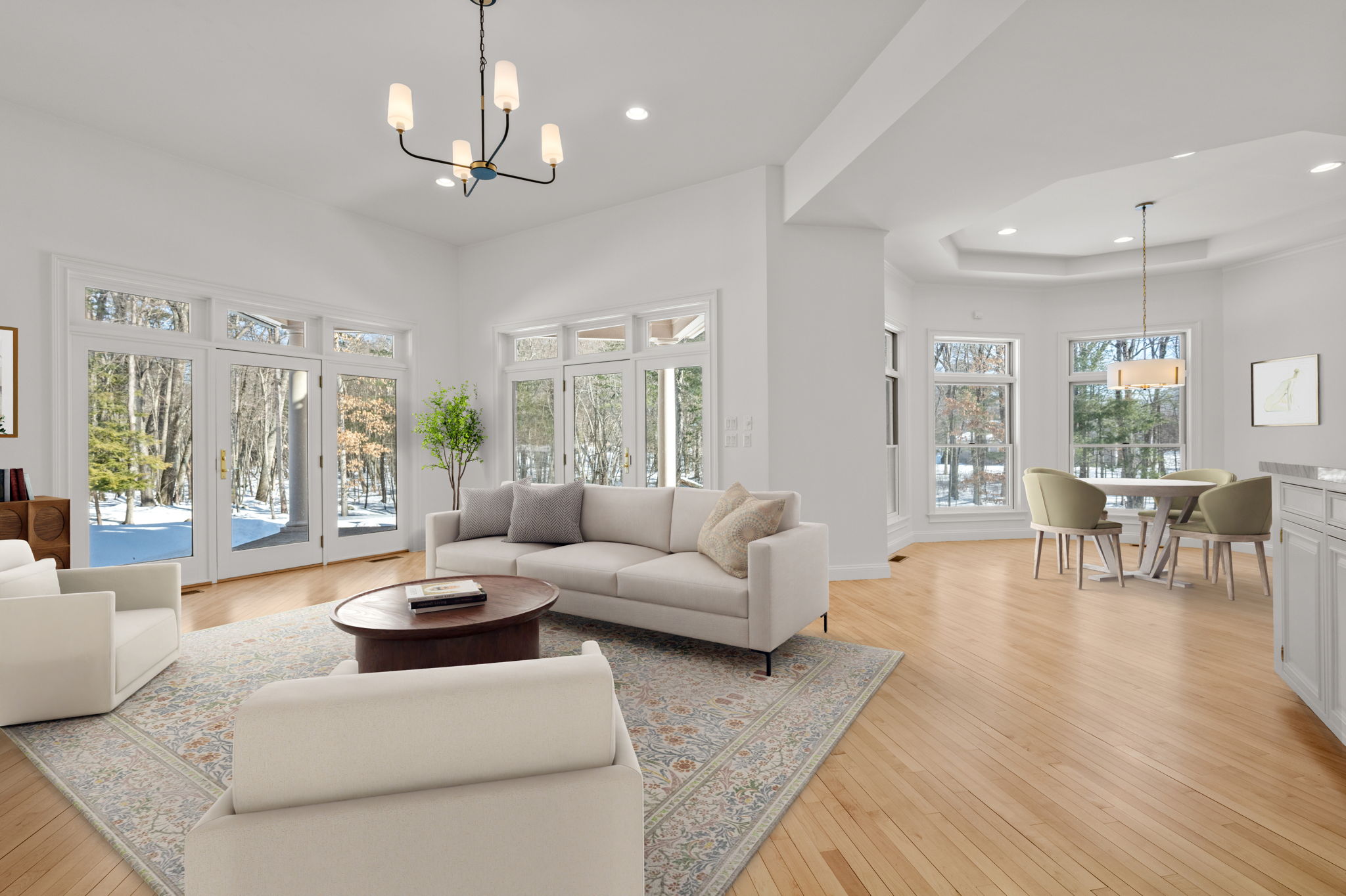 VirtualStaging (2 of 9)