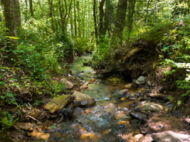 Photo 27