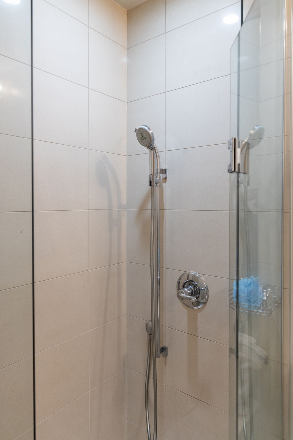 Toronto property showcase — delivered property photograph 11