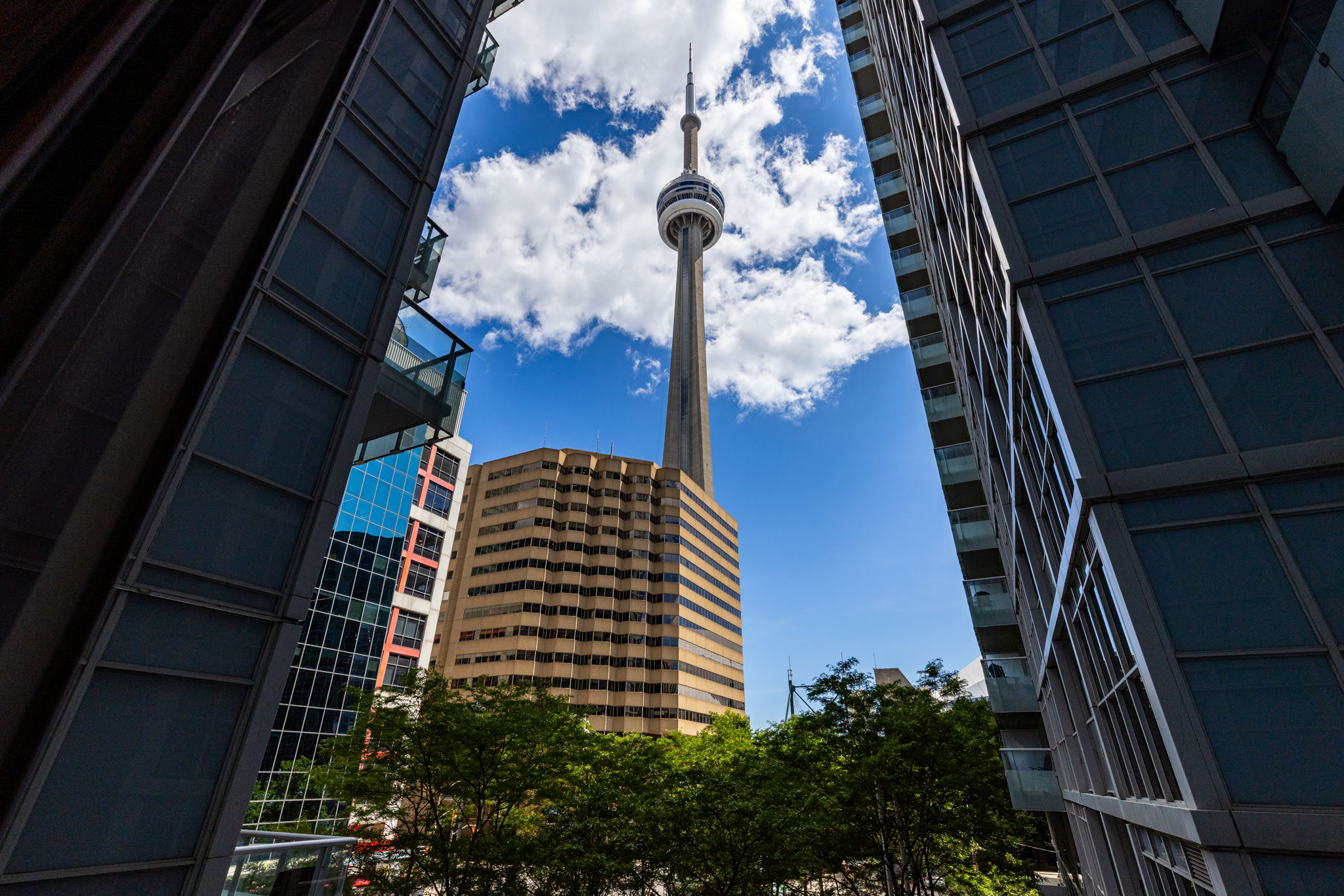 Toronto property showcase — delivered property photograph 31