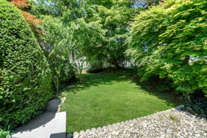 Side rear yard