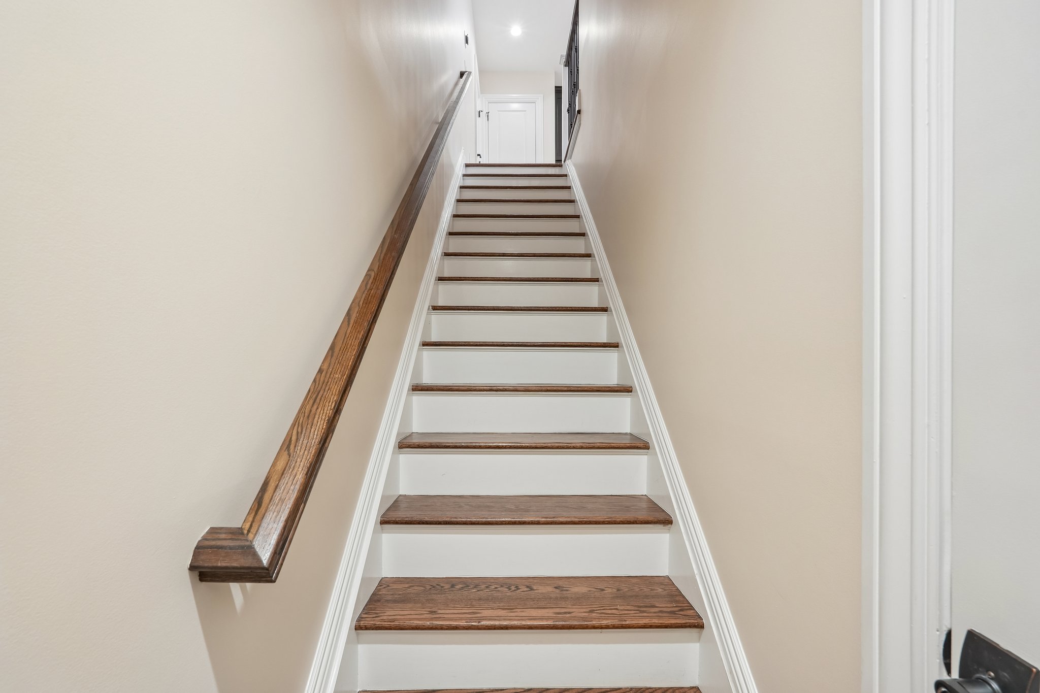 Marquis Ct-S2908-049.jpg