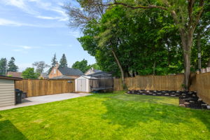  Photo 44