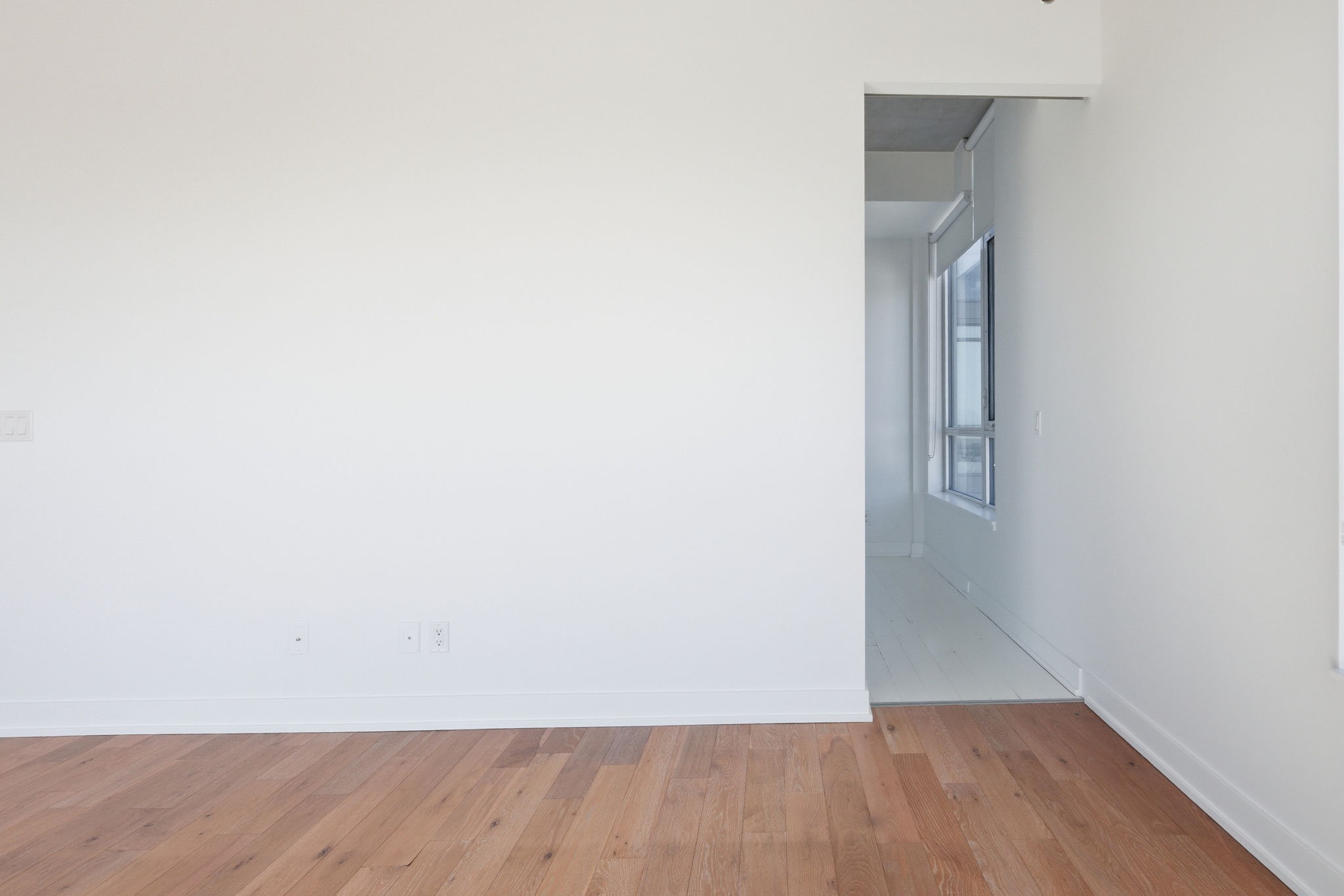 Toronto property showcase — delivered property photograph 11