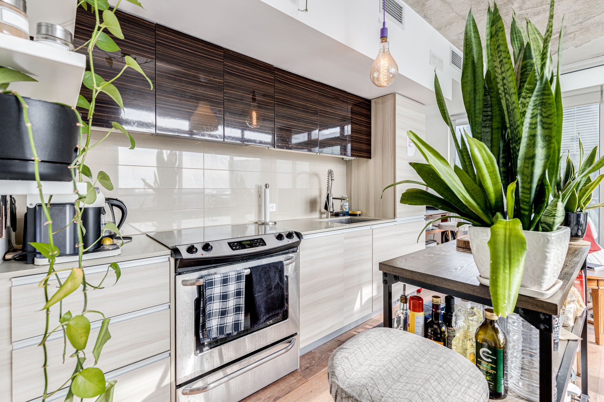 Toronto property showcase — delivered property photograph 7