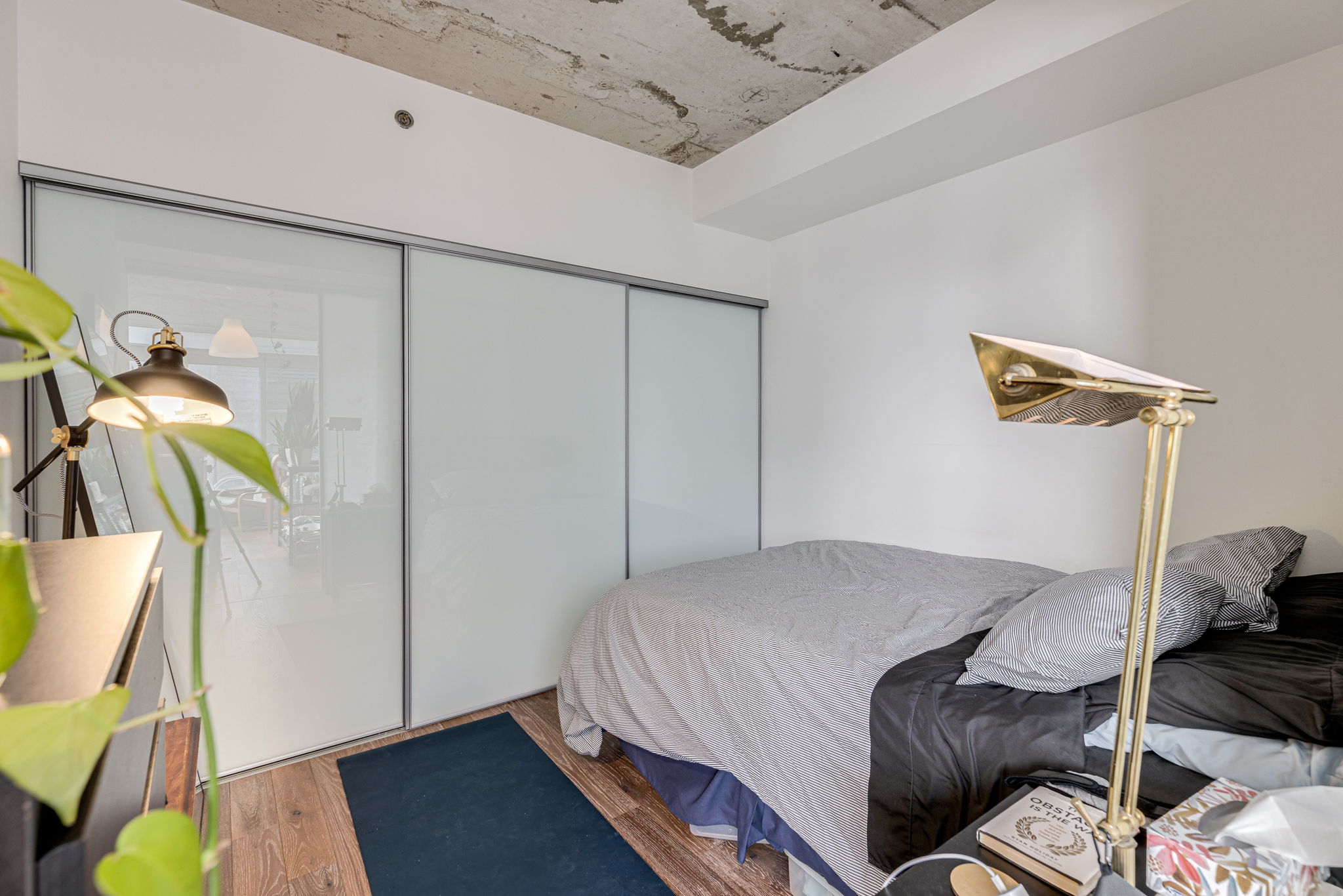 Toronto property showcase — delivered property photograph 14