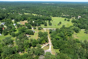 Peaceful rear view of the lot, featuring lush greenery and plenty of open space to make your own.