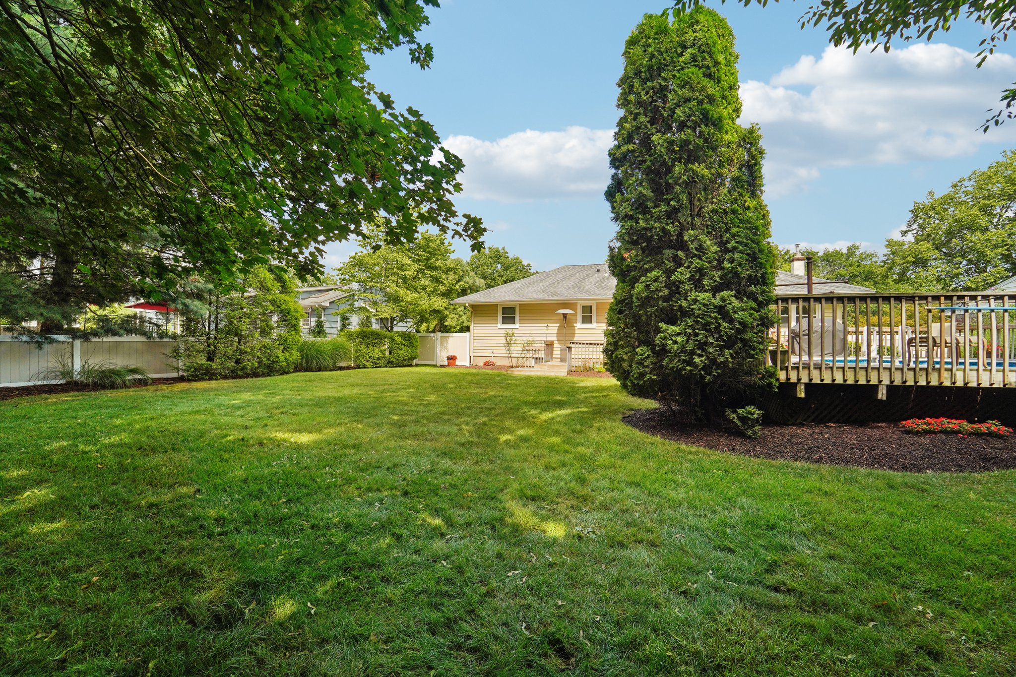 Landscaped Yard